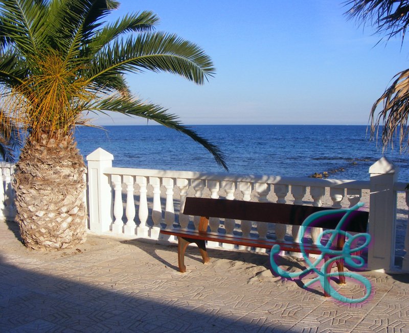 The Bench on the Promenade